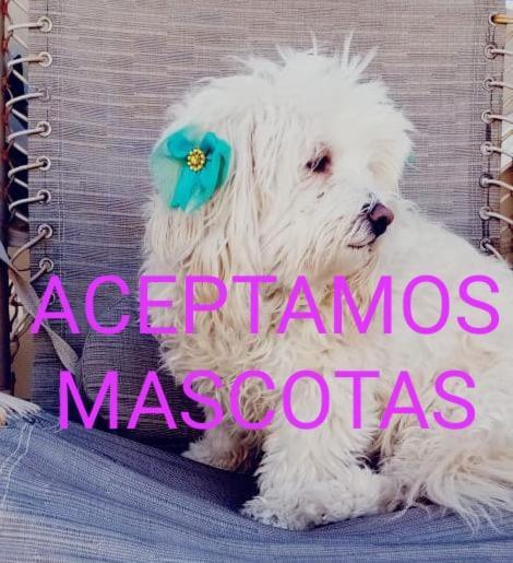 Canela Apartment, Pet Friendly Puerto Peñasco Eksteriør billede